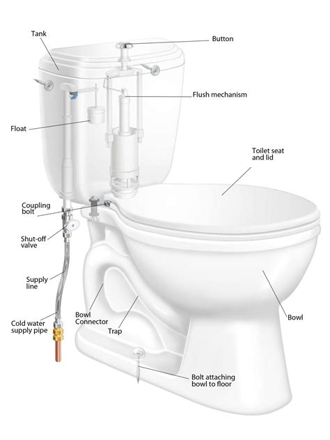 What Are The Parts Of A Toilet With Diagram Dengarden Riset