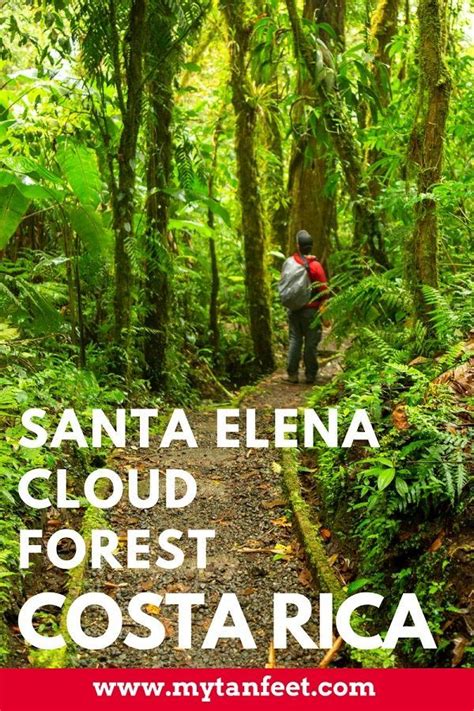 Hotels, apartments, villas, hostels, resorts, b&bs Santa Elena Cloud Forest Reserve: The Cloud Forest Guide ...