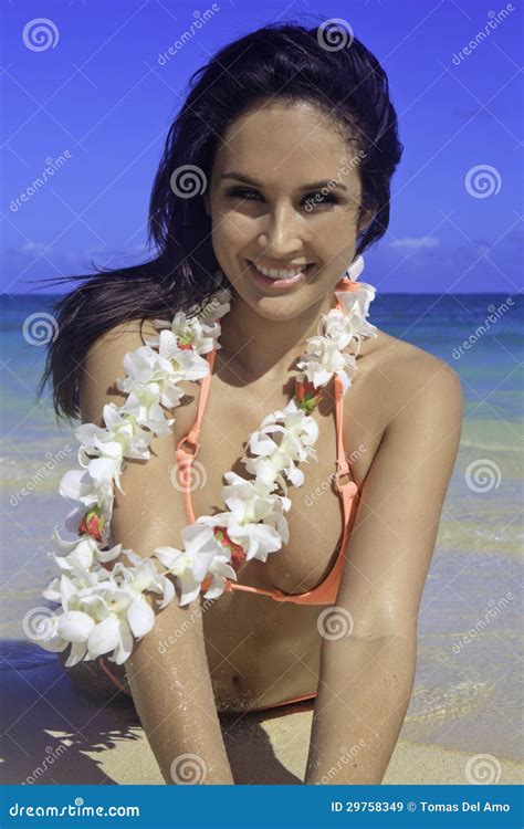 beautiful woman at the beach stock image image of bikini smiling 29758349