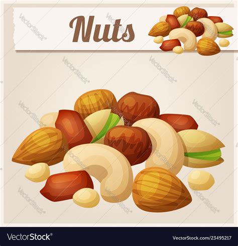 Nuts Cartoon Icon Royalty Free Vector Image Vectorstock
