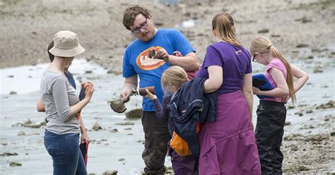 London History Day Thames Discovery Programme And Tideway Tadpoles Mola