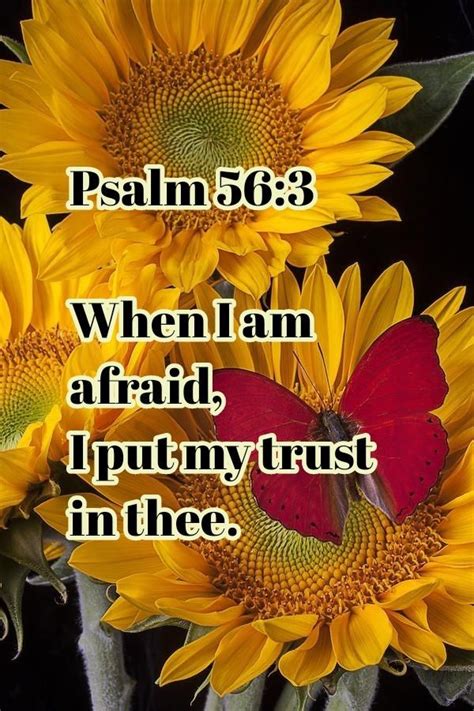 Pin By Beverley Green On Psalm Psalms Divine Mercy Psalm 56
