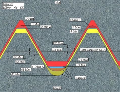 Eventually, camels migrated across the bering strait into regions of asia and africa you see, camels are one of the only animals in the world that store all their fat in one spot. Metric thread pitch diameter calculator