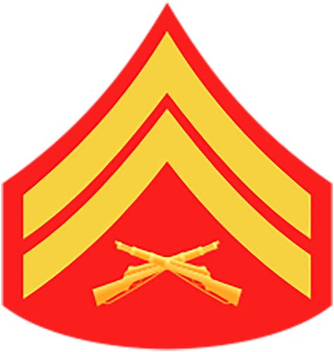United States Marine Corps Usmc Chevron Gold Pfc Private 1st Class Male