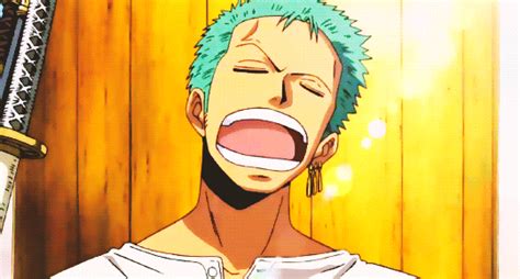 Bokumetsu One Piece  Zoro One Piece One Piece Anime