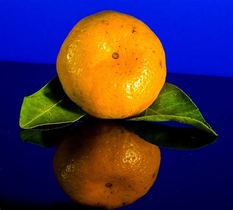 Orange Tangerine Fruit Citrus Free Photo On Pixabay Pixabay