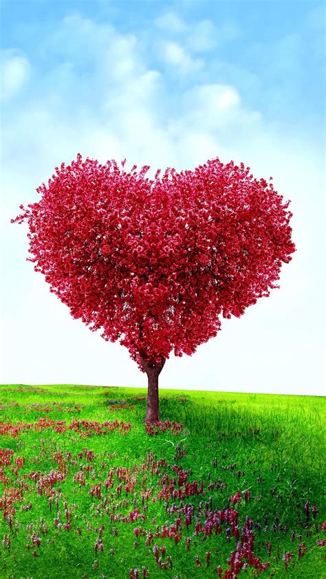 Heart Shaped Tree Valentines Day Love Android Full Love Android Mobile