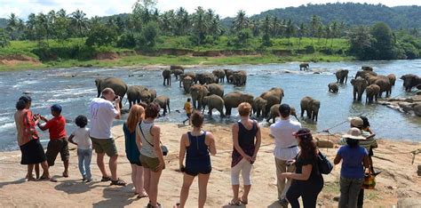 Sri Lanka Eyes More Chinese Arrivals Tourism News Live
