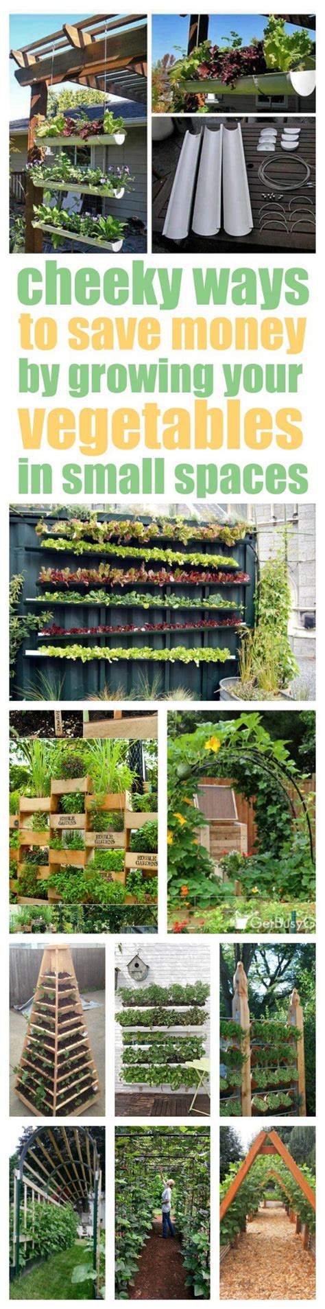 Vertical Vegetable Gardening Ideas Homsgarden
