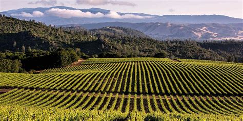 10 great portugal reds under $30. 12 Wine Country Destinations | Visit California