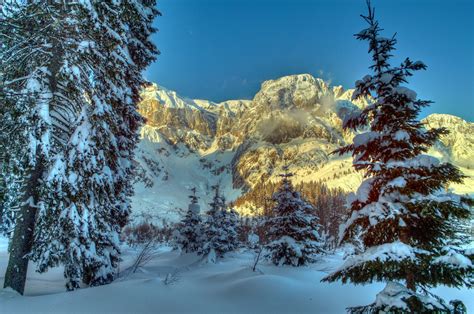 Wallpaper Winter Mountains Austria Snow Trees Spruce Alps