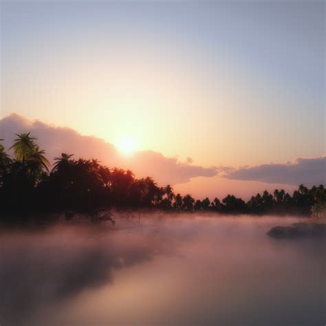 Sunrise Wallpaper 4k Palm Trees Mist Foggy Tropical