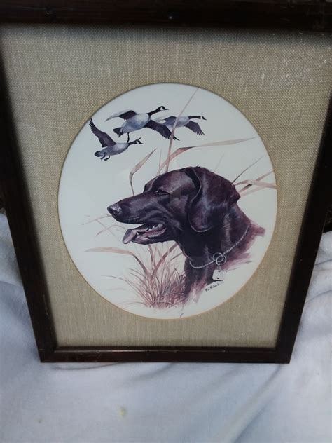 Vintage Black Labrador Dog Hunting Dog Art Print By R J Mcdonald By