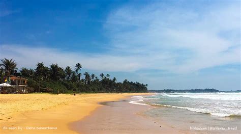 Hikkaduwa Sri Lanka Best Hikkaduwa Beach Hotels Sri Lanka Travel