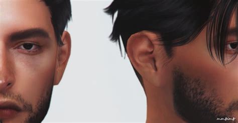 Sims 4 Ear Presets