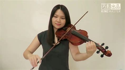 Onerepublic Secretsviolin Cover Youtube