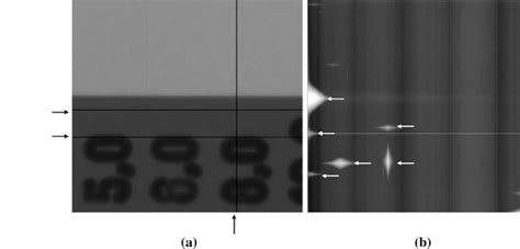 Sample Images Of Fpd Degradation Indirectconversion Fpd A Sample