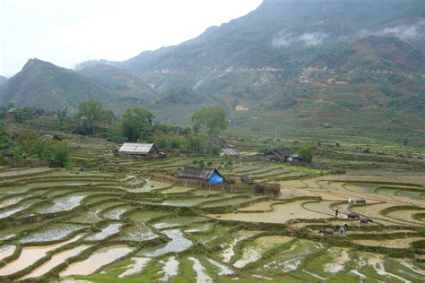 Sapa: 1-Day Trek through Muong Hoa Valley & Villages in Vietnam | My ...