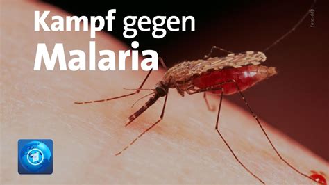 Malaria Neuer Impfstoff Im Kampf Gegen Die Tödliche Krankheit Youtube