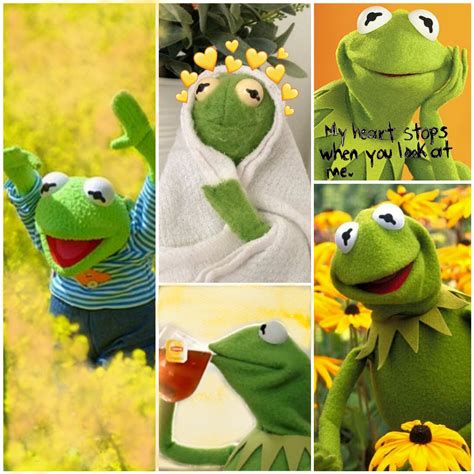 Aesthetic Kermit Wallpaper