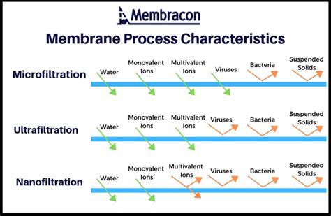 What Is The Difference Between Microfiltration Ultrafiltration And