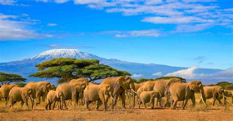 The 6 Most Fascinating Kenyan Landscapes African Safari Tours