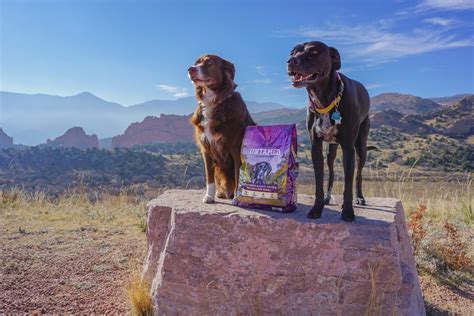 These formulas are packed with quality meat proteins and carbohydrates to meet the nutritional needs of the cat. Untamed by 4health® Dog Food Product Review - Follow Your ...