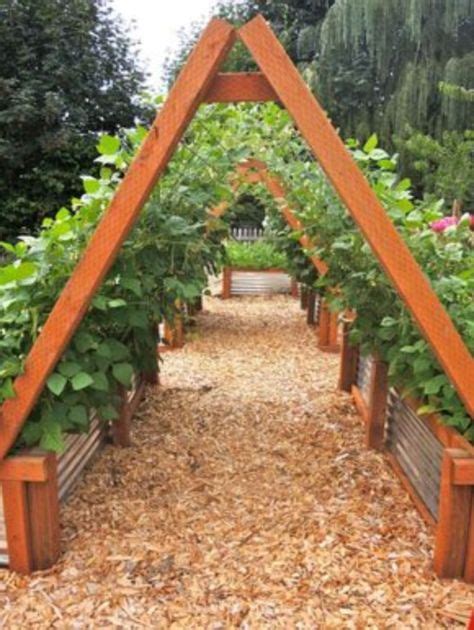 36 Simple Diy Green Bean Trellis Inspiration With Images Vertical