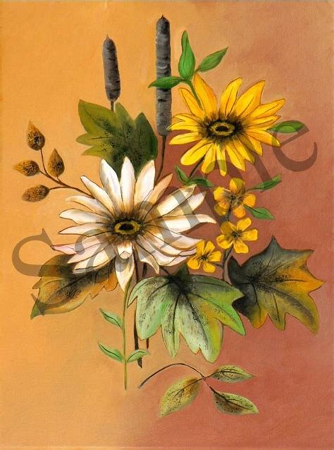 Daisy Sunflower Plants