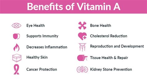 Vitamin A Benefits Deficiency And Foods Dr Daniel Functional Medicine