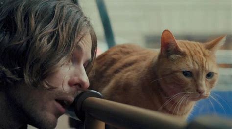 A Street Cat Named Bob Film Review The Perks Of Being A Ginger