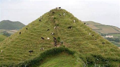 Me compre unas vacas #mrsoundfreddyedj #vacas @mrsoundfreddye en patricios, buenos aires #5 #lomásvistodeldía ¿es galicia un lugar donde hay muchas vacas? Açores, onde até as vacas podem ser felizes! ♥ (com ...