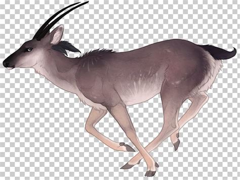 Deer Graphics Gemsbok Watercolor Painting Png Clipart Alika Animal