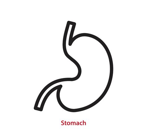 Stomach Icon Vector Logo Design Template 7167091 Vector Art At Vecteezy