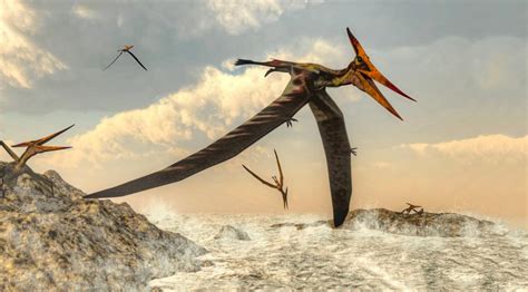 The Original Story Of Flight Pterosaur Precursors Discovered That Fill