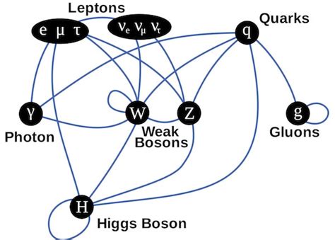Boson Particle Diagram