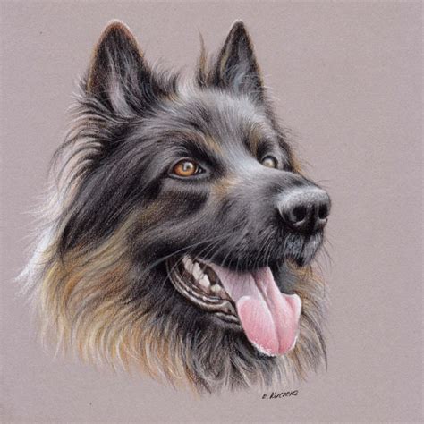 Uart Tip Drawing Fur With Colored Pencils Step By Step