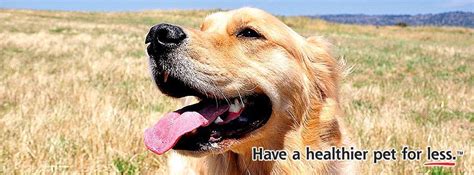 Top blooming direct voucher code for december 2020: 10% Off Pet Supermarket Discount Codes & Promo Codes | 2020