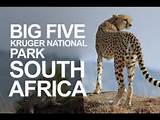 Kruger Park In South Africa