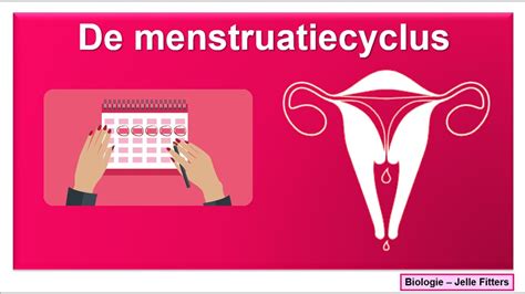 Voortplanting Menstruatiecyclus Youtube
