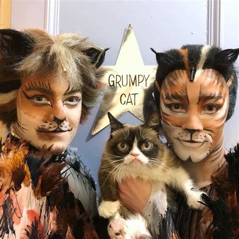 Previews began on 14 july 2016 at the neil simon theatre, and the show opened on 31 july. Grumpy Cat Joins the Broadway Musical "Cats" for a Purrfect Performance