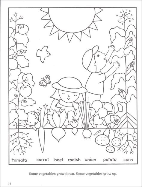 Soil Layers Activity Coloring Pages