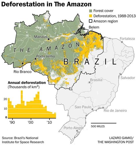 Les 136 meilleures images du tableau Le Brésil étude géographique