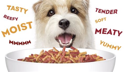 World dog finder lets you find expert advice regarding dog breeds, dog care, and the latest news. Best Vet Recommended Dog Food 2021