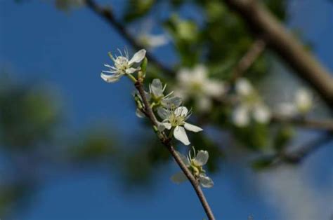 Maybe you would like to learn more about one of these? Der Natur auf der Spur am Schloss Raesfeld - Heimatreport