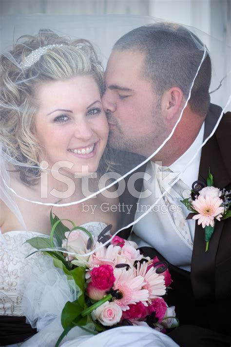 Romantic Couple Groom Kissing Bride Under White Wedding Veil Stock