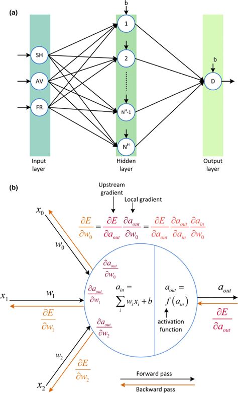 A Typical View Of A Feedforward Neural Network Trained With The