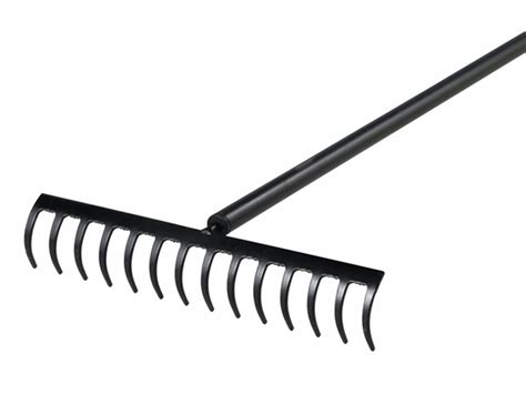 LOOK AT THIS RAKE!!!! : F1CircleJerk