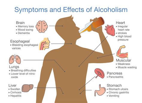 How Long Does Alcohol Stay In Body Hutomo