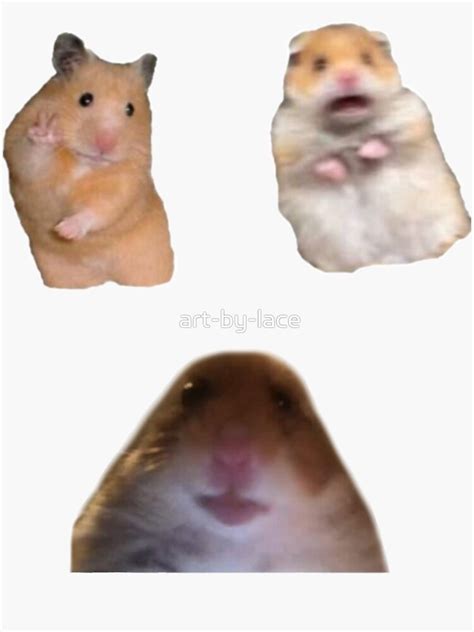 Hamster Memes Sticker By Art By Lace Redbubble